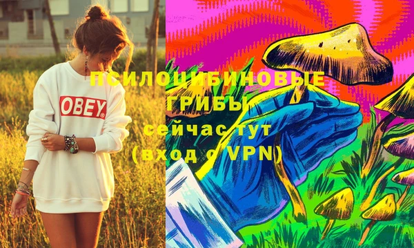 mdpv Новокубанск