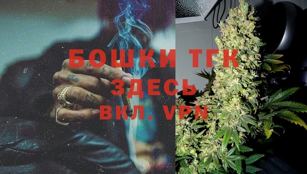 молекула духа Новодвинск