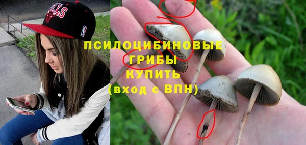 молекула духа Новодвинск