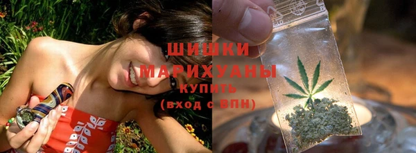 молекула духа Новодвинск