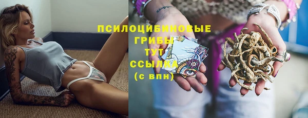 наркотики Новозыбков