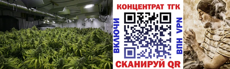 Дистиллят ТГК концентрат  Купить где  Обоянь 