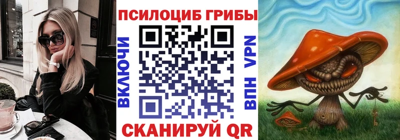 Купить  Обоянь  Псилоцибиновые грибы мицелий 